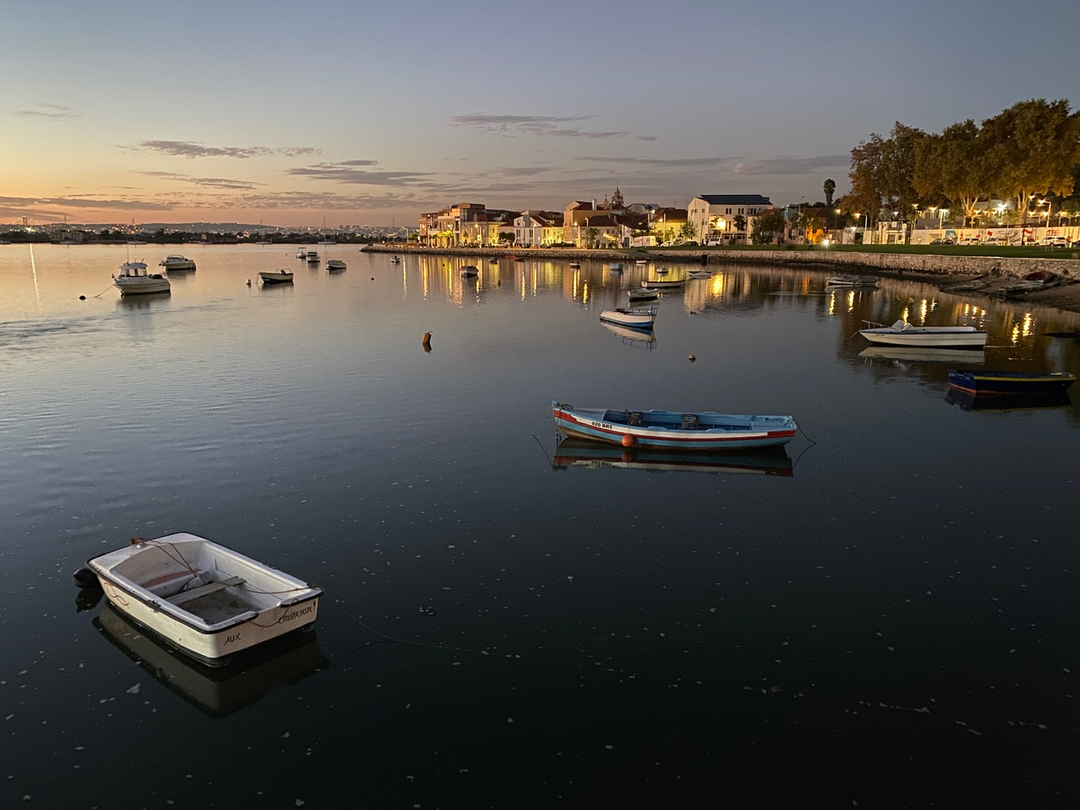 Ted Nash tweet media