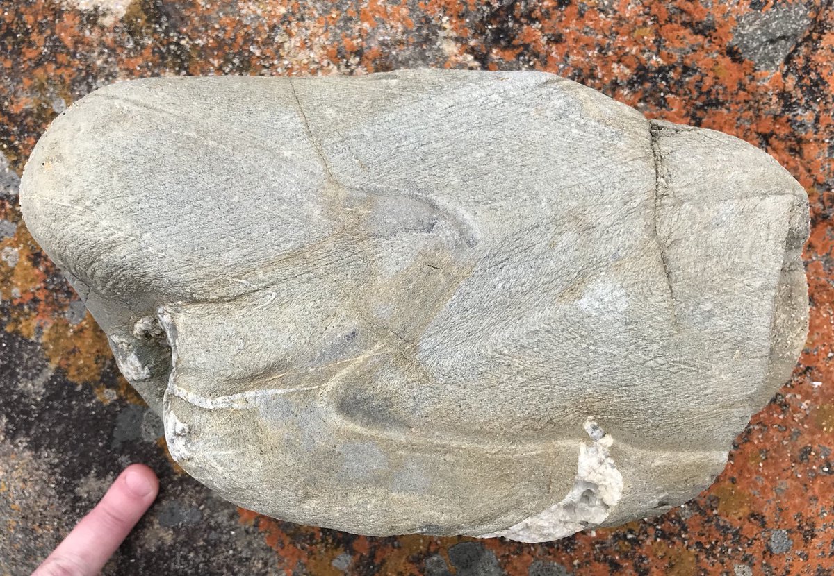 sandramcgeo's tweet photo. This small-boulder sized z-vergent fold, with nice porphyroblast growth and axial planar fabric, was sadly left on the outcrop. But it can grace #FridayFold instead π€© #geology #StructuralGeology #CapeConran https://t.co/WVyWhKj894