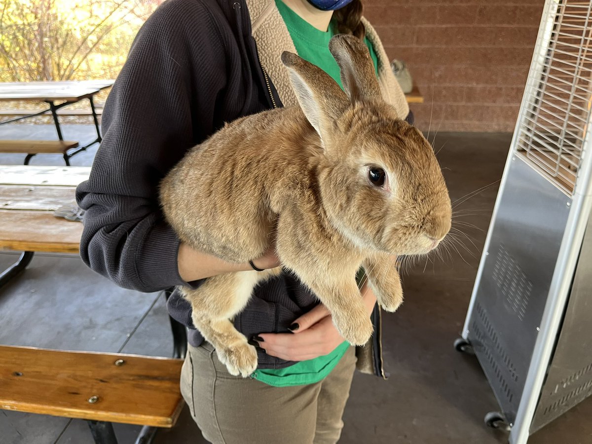 LincolnGraves's tweet photo. Come for the animals, stay for the shot. @HogleZoo hosting a COVID vaccine clinic for kids ages 5 to 11 today and tomorrow. Parents can register here: https://t.co/lDGGyaofeC https://t.co/bZVo0zmNVH