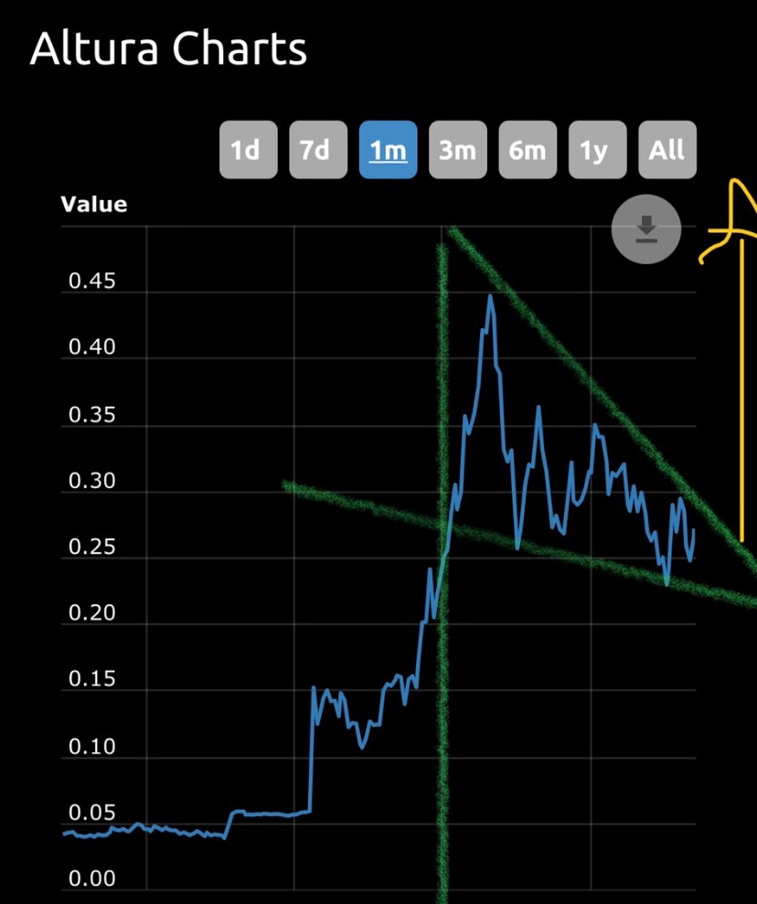 CryptoLerry's tweet photo. #AlturaNFT 

Guys tell your wife not to spend your money on some christmas crap but load a bag full of Altura. Guys i’m telling you this thing is going to explode. https://t.co/LA6XWUfM8E