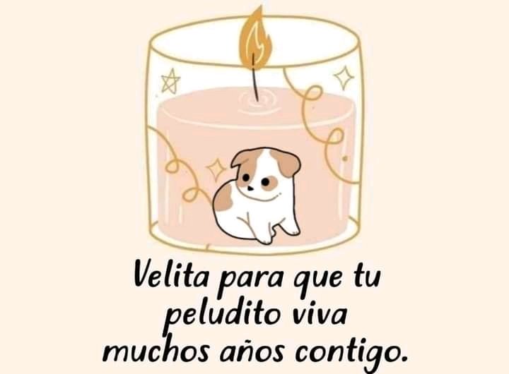 DogtorPerrito's tweet photo. 🕯️🕯️🕯️🕯️🕯️🕯️🕯️🕯️🕯️ https://t.co/VKaQH6Fr4F