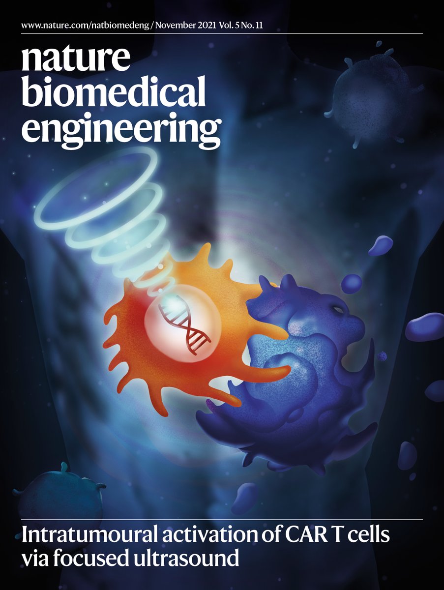 The November cover illustrates that T cells can be engineered to express a chimaeric antigen receptor within tumours when heat is locally generated by pulses of focused ultrasound. go.nature.com/3kx8AXj rdcu.be/cBhUn [Paper]