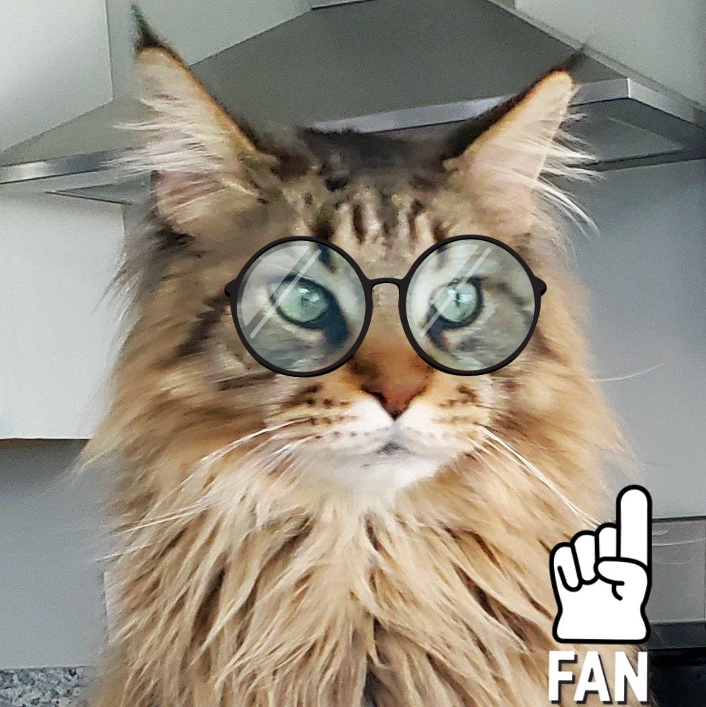 MaineCoonCatsOH's tweet photo. @toby_rules1 @yongmaylingjen1 @LittleMaineCoon @JoyOfCats @GeneralCattis @AmandaSmokeyIs1 @TheCatMalice @mitsy2714 @LordGraydon @JusticeToAll @CoonGriff @HugoStevens15 @CoonQuizmo @ToriPeepawsEsq @RosieandHarryMC AHAHAHA paper and carpeting eh Toby
- Dr. PeePee H. Litterbox aka #TobyFan https://t.co/u26qdYlO36