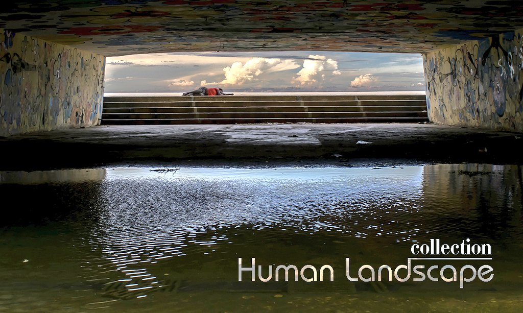 LazoDuke's tweet image. opensea.io/Lazotea