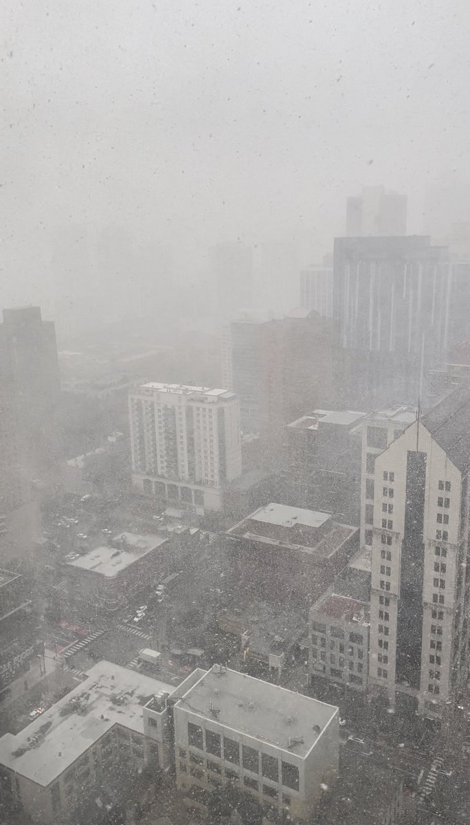 Sadia Anees tweet media