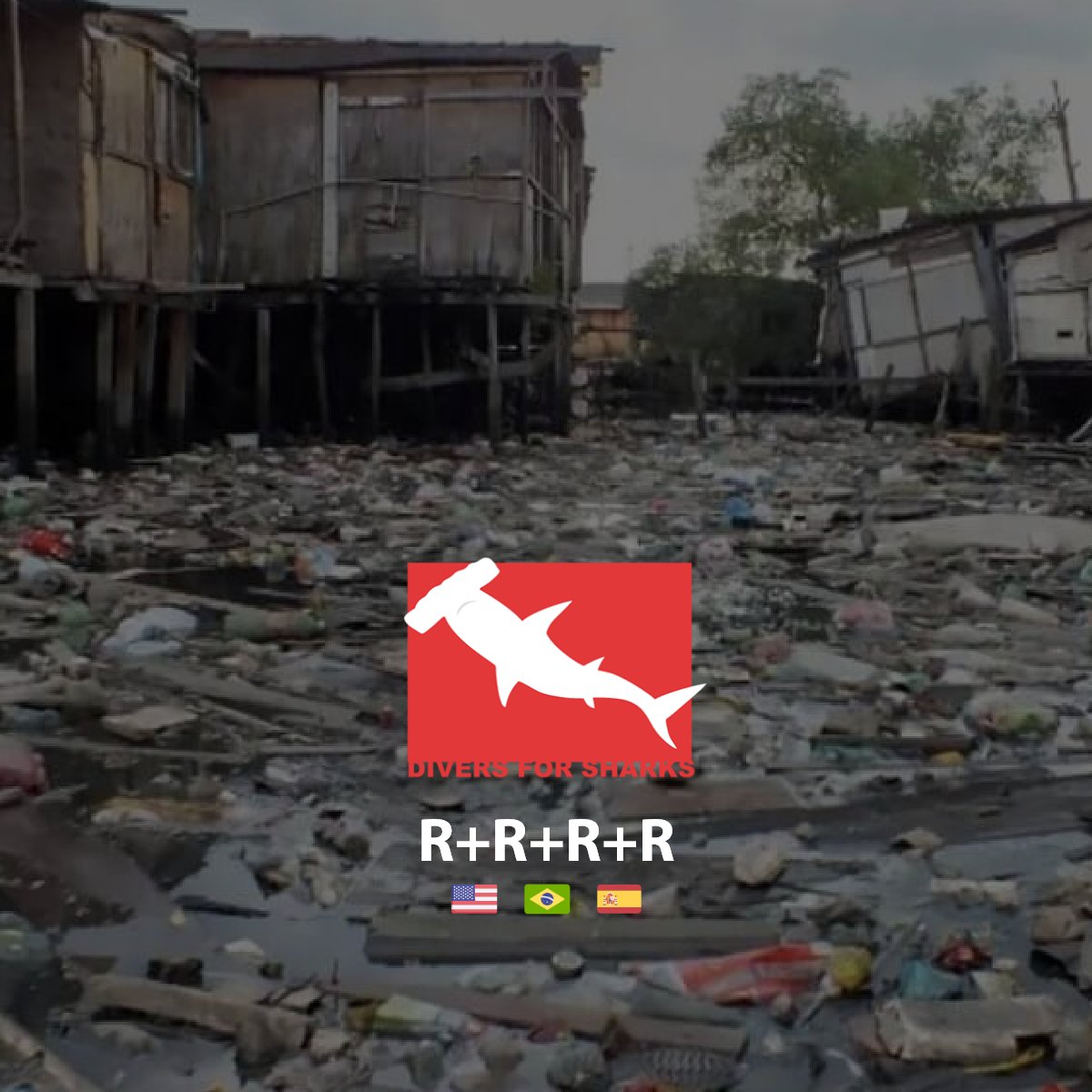 DiversForSharks's tweet image. [US] R+R+R+R
Waste reduction through recycling glass bottles and wooden crates can help the sharks, the planet and even make money!

#CarpentryWorkshop #Crafts #CutBottles #MarineLitter #Recycled #VolunteerWork

diversforsharks.com.br/en/activism-en…