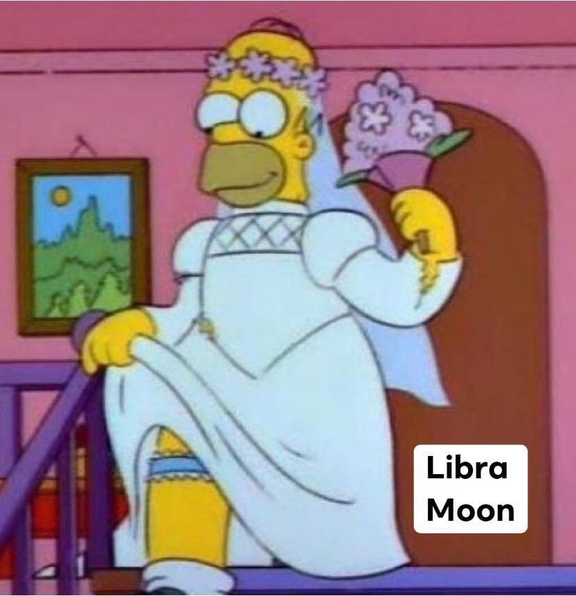 cosmiccrybabyx's tweet photo. SEND HELP IM BEING ATTACKED https://t.co/kVfhJlM88j