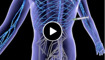 Read the latest from the FacingDisability blog - Breakthrough Study Reveres Paralysis 

facingdisability.com/blog/breakthro… #spinalcordinjury