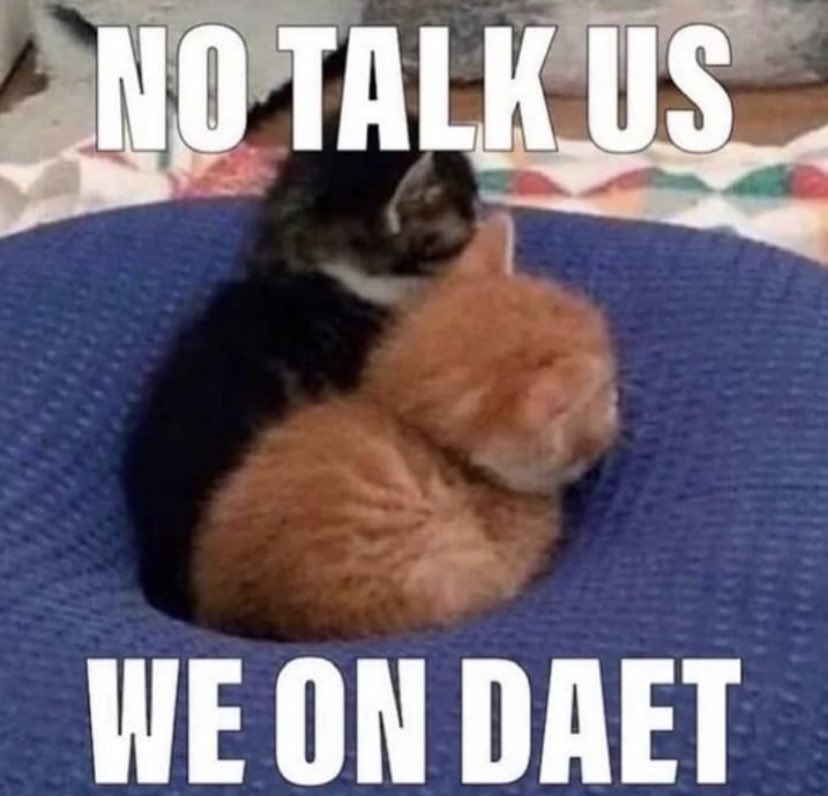 🖇️The Borealis System: f, Roman (@01001100sanders) on Twitter photo 