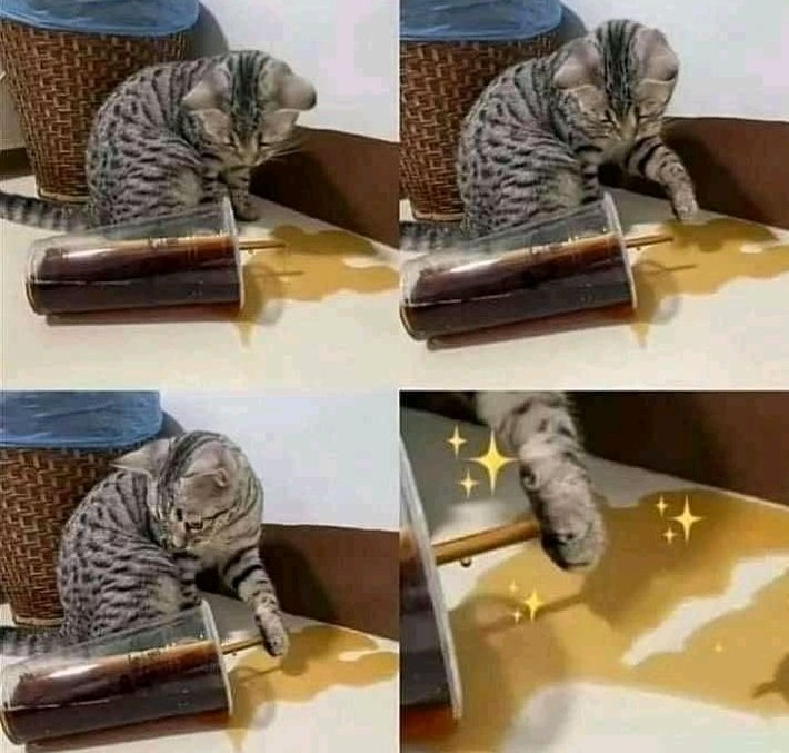 Mi Michi me tumbó el café, pero lo perdono porque intento arreglarlo