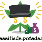 Image for the Tweet beginning:   #cannabis classifieds listings
