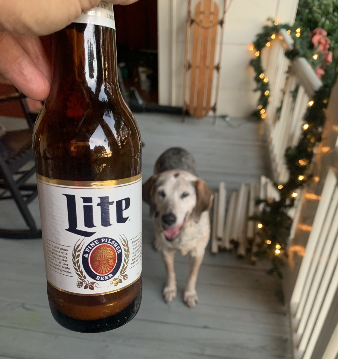 susanfetzvick's tweet photo. I need a few HSC Pikas  to tell me why this fella barks incessantly at my Friday afternoon beer bottle as if he wants some? @HChurchman 👀@Harrison__Cobb 👀@clay__vick👀 @spags00 👀@John_mckibbin5 👀 https://t.co/HKuc5W509V