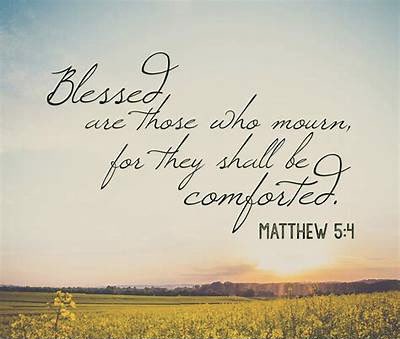 Ginalilvol's tweet photo. Please say a special prayer for my friends. My dear friend, Bob, is now in heaven. His wife, Debbie, is recovering from COVID. My heart is broken for her and his son and grandchildren. ππ’ππ» #covidsucks #flyhighmyfriend #untilwemeetagain https://t.co/Pca6Puekxn