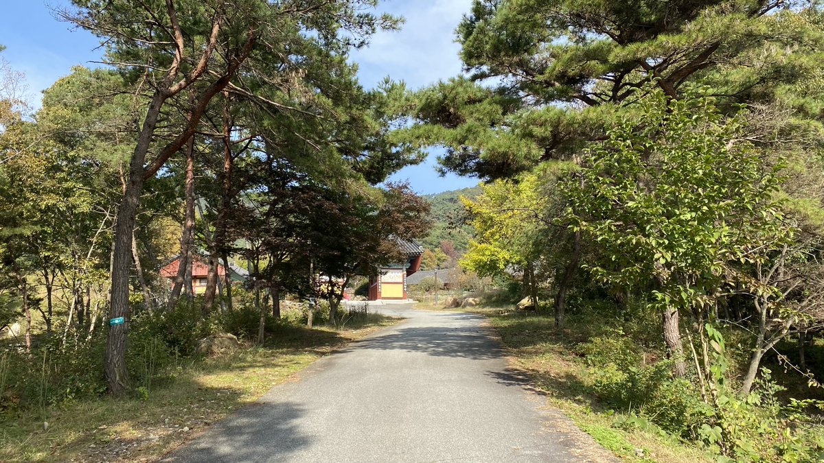 K__Phoenix's tweet photo. 성륜사 (Sungryunsa)
 If you go to Sungryunsa, a temple in Gokseong, Korea, you can see the works of K-Phoenix. For those of you who haven't been to Korea yet, I would like you to pay attention to how old Korean buildings harmonize with nature.
#temple #korea #culture #nature https://t.co/A3aEzntQPw