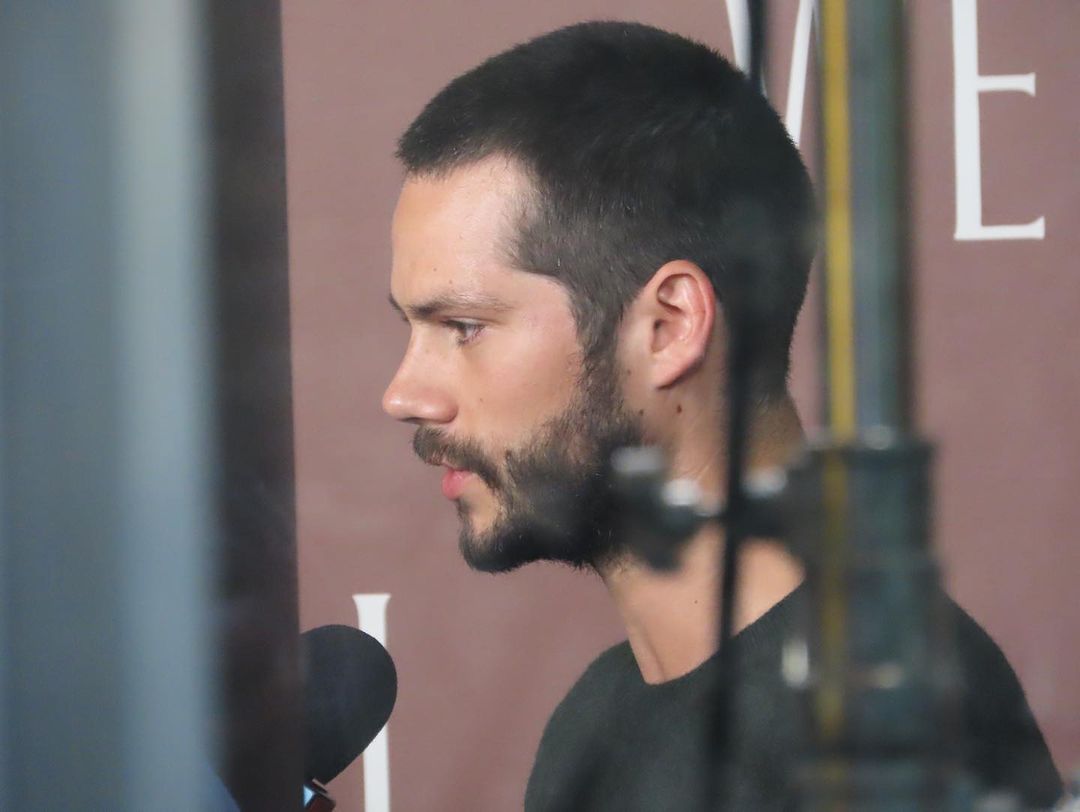 dyyllobrien tweet picture