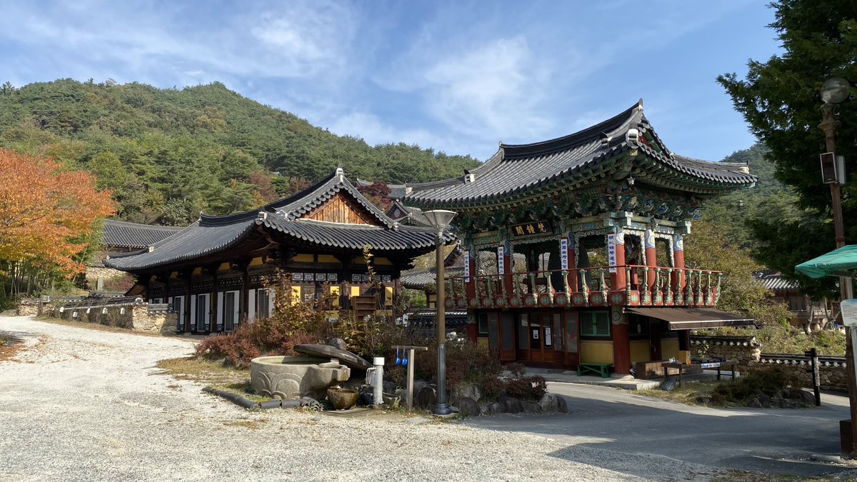 K__Phoenix's tweet photo. 성륜사 (Sungryunsa)
 If you go to Sungryunsa, a temple in Gokseong, Korea, you can see the works of K-Phoenix. For those of you who haven't been to Korea yet, I would like you to pay attention to how old Korean buildings harmonize with nature.
#temple #korea #culture #nature https://t.co/A3aEzntQPw