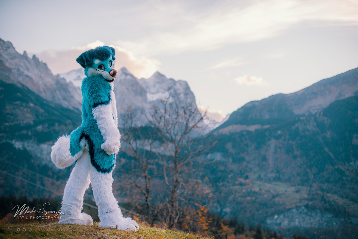 kian_barker's tweet photo. Kinda nice isn't it? Wanna come closer?
π·: @martinisnowfox
βοΈ: @mixedcandy
#FursuitFriday #furry #goldenleavescon #glc #glc11 #fursuit #fursuiter https://t.co/vPOb7BBMCM