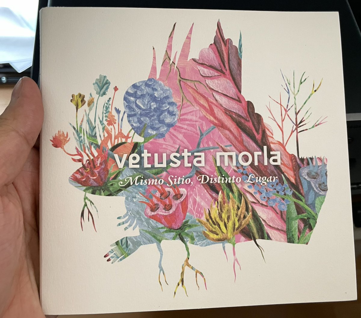 horizonteaudio's tweet photo. Genial disco y arte de Vetusta Moral 🎧

@vetustamorla 

#cdrom #music #música #vetustamorla https://t.co/Wpc3jEuW4D