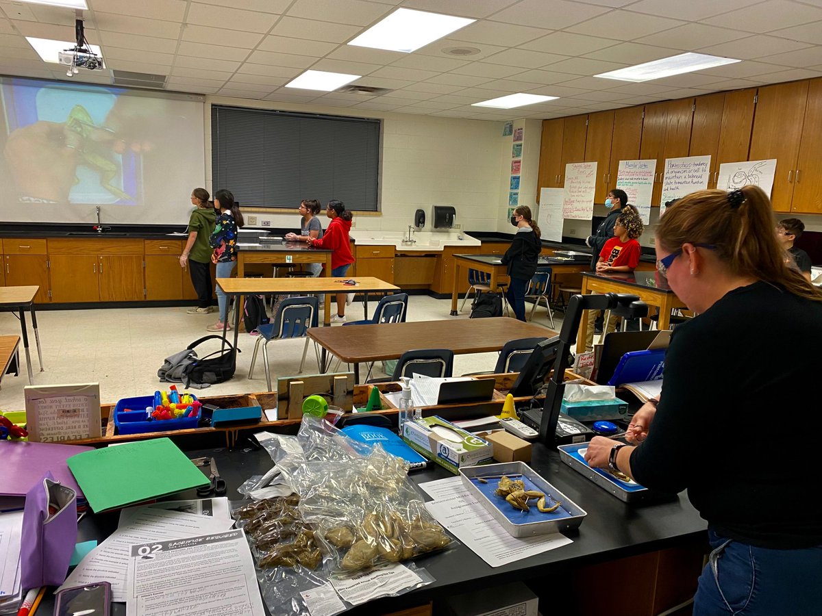 AJBriesemeister's tweet photo. Today at @AJBriesemeister, in 7th grade 👩‍🔬Science classes for Coach Borchers, students identified body systems (TEK 7.12B) and locations of organs by 🔪dissecting amphibians; a.k.a. 🐸FROG DAY!  #HandsOnLearning #DissectionLab #AJBisThePlace2Be https://t.co/joN4vTIQYF