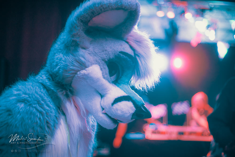martinisnowfox's tweet photo. one hot dancer! @Flookiewolf
https://t.co/exmOHsTwIi
#glc11 #glc2021 #photography #furdance https://t.co/pHPZ7PDbrA