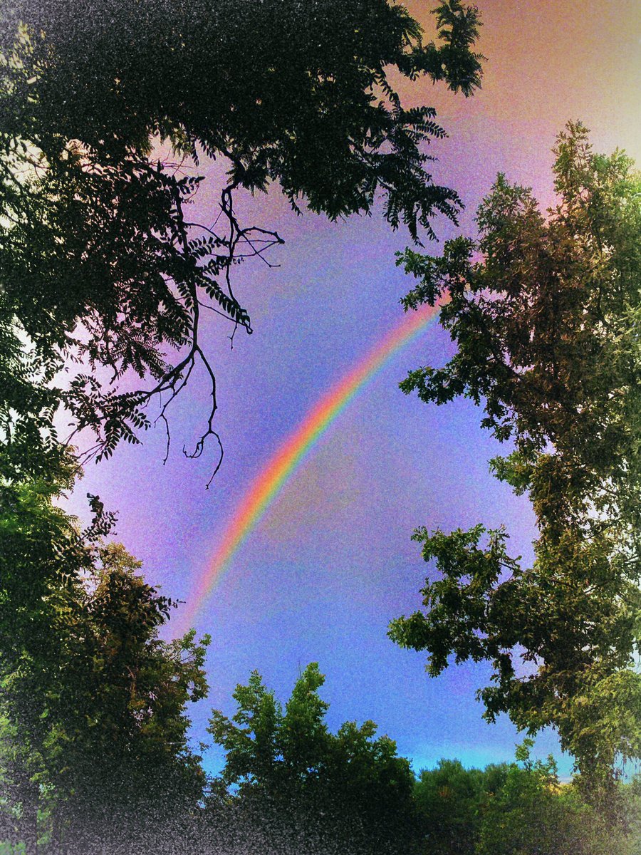 istiiigkeit's tweet photo. beginning to see the light https://t.co/oO83bKIJQV
