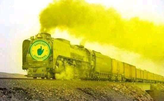 Senzo_28's tweet photo. @Masandawana @SundownsLadies @CAFwomen https://t.co/LL0A2X29mx