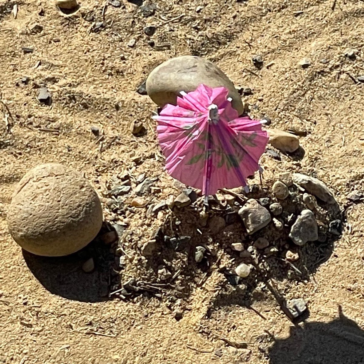 UrbatchK's tweet photo. One of the Kinderpeeps discovered a little “umbrella” on the floor in the classroom so she took it outside for recess. Check out the adorable little beach scene they made! 😂🏖⛱#recess #iteachk #beachvibes #fcpsK #woodlawnes @woodlawnes_fcps @FCPS_Kinder @fcpsnews @FCPSR3 https://t.co/VySfkb48Go