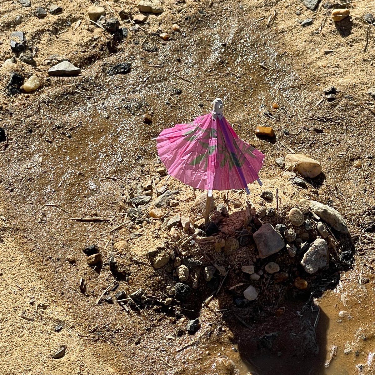 UrbatchK's tweet photo. One of the Kinderpeeps discovered a little “umbrella” on the floor in the classroom so she took it outside for recess. Check out the adorable little beach scene they made! 😂🏖⛱#recess #iteachk #beachvibes #fcpsK #woodlawnes @woodlawnes_fcps @FCPS_Kinder @fcpsnews @FCPSR3 https://t.co/VySfkb48Go