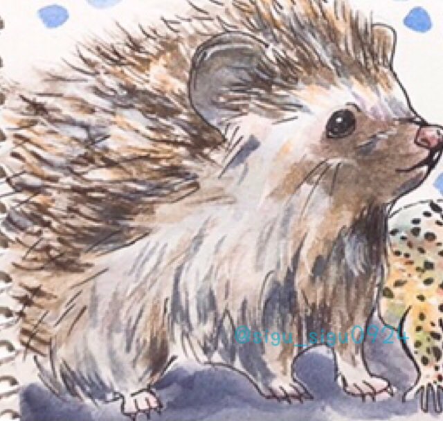 ハリネズミイラスト Twitter Search Twitter