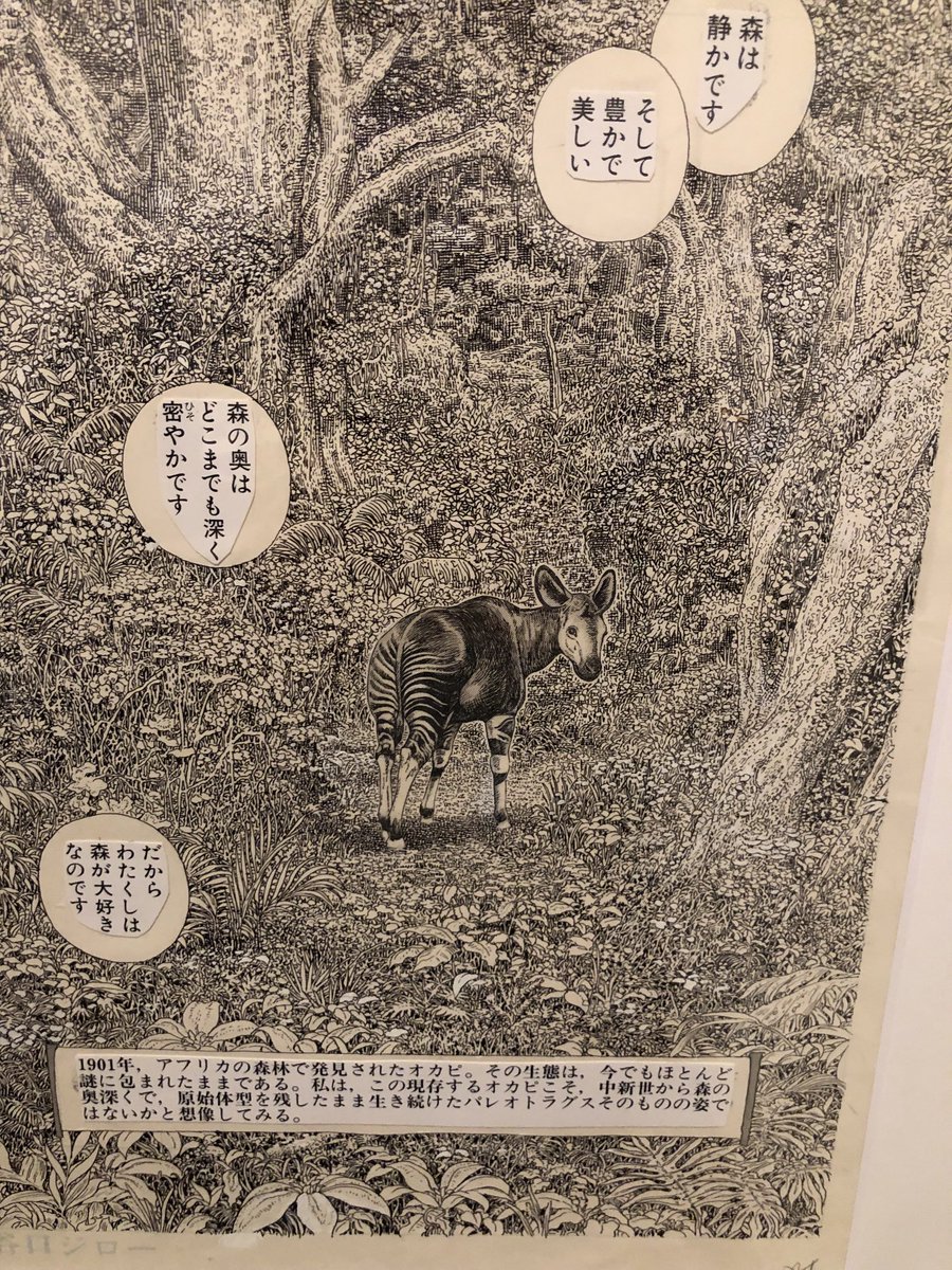 目が潰れるわい 