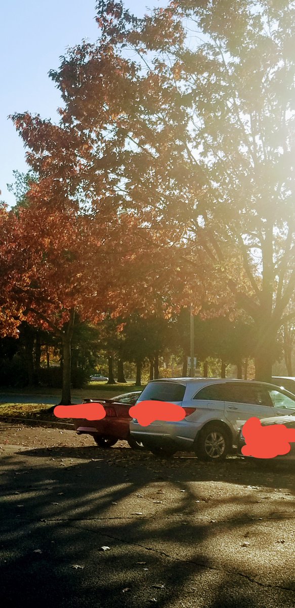 USQ Humanities and Communication tweet media