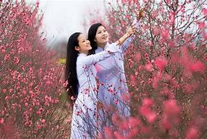 Life is too important to be taken seriously