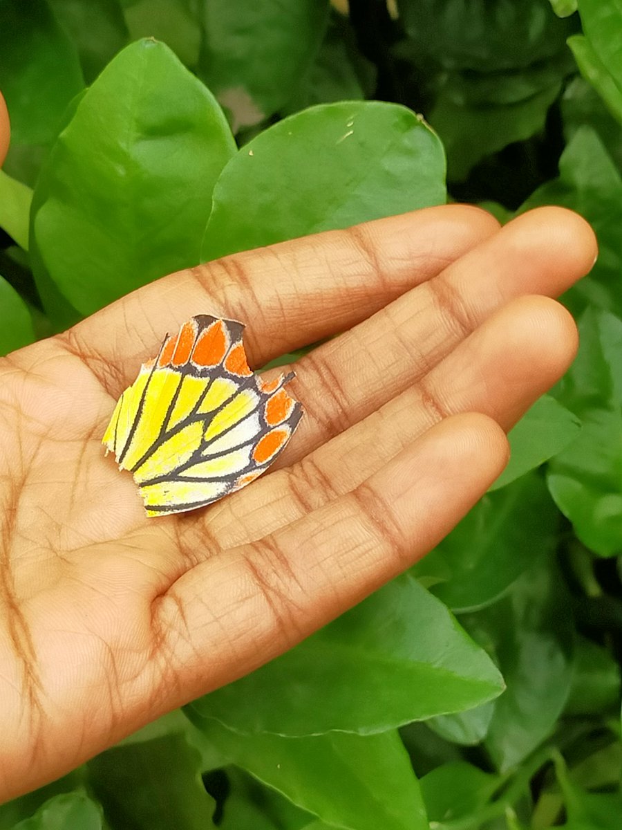 kirthzz's tweet photo. B.R.O.K.E.N BUT BEAUTIFUL 🥺🤍💚💛🧡🖤 https://t.co/exgs9BN4ki
