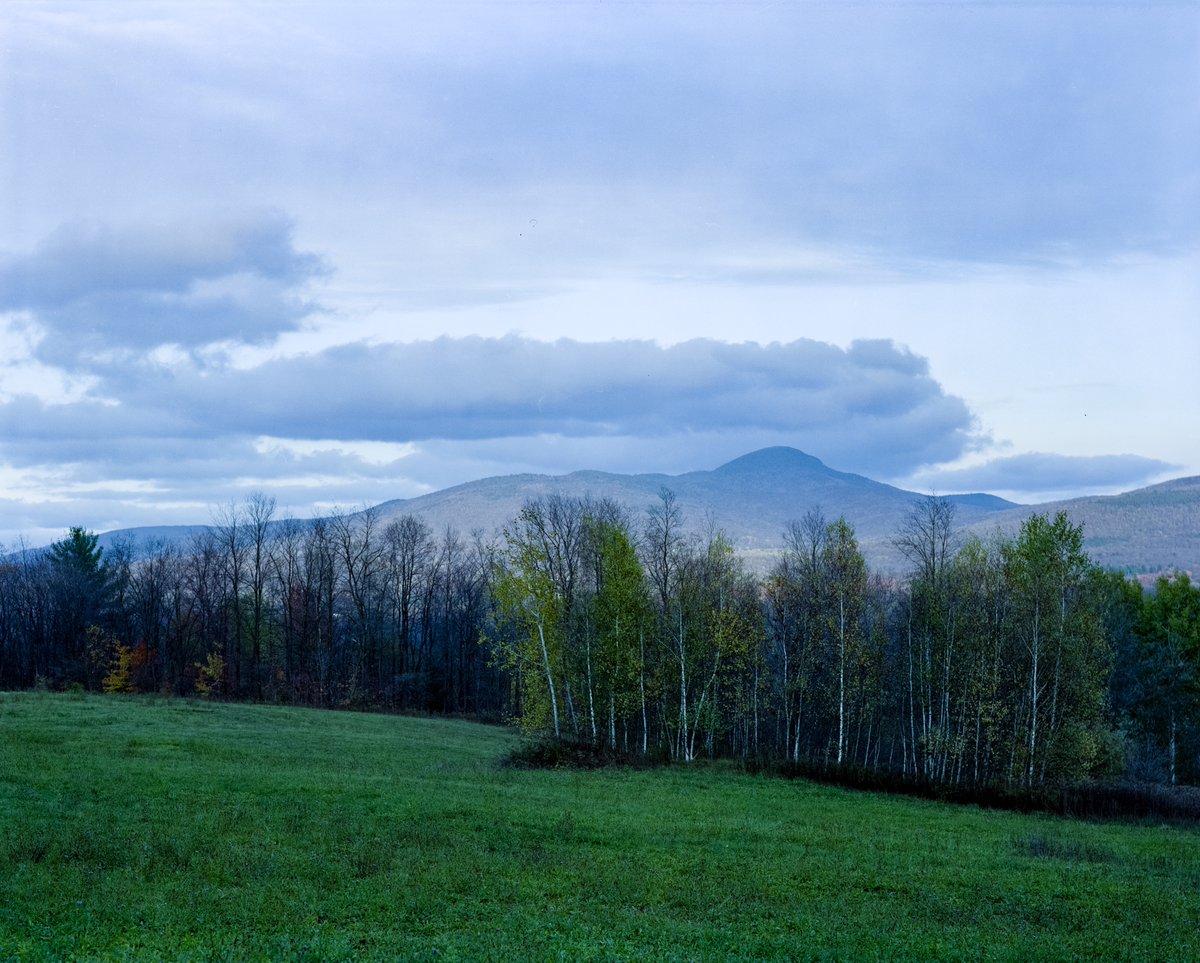 Ian Austen tweet media