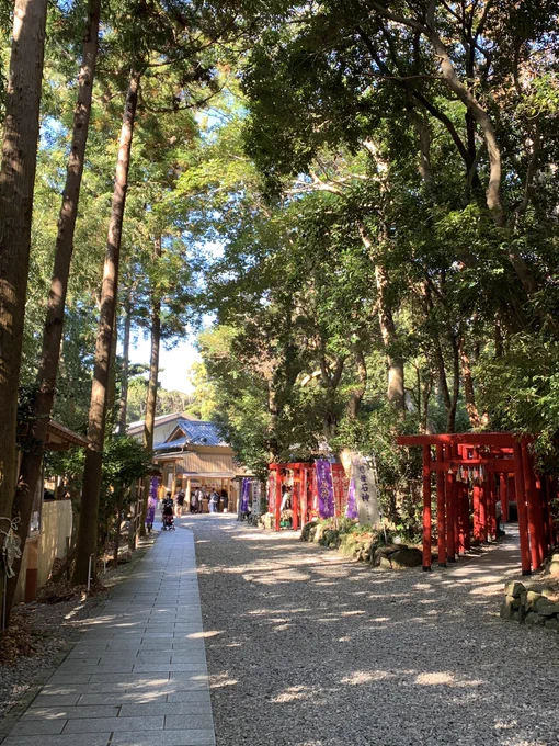 石神さんで有名な神明神社にお参りしてきた😊🙏「木の毒です」が面白かったしドーマンセーマングッズが充実していた…🙏 