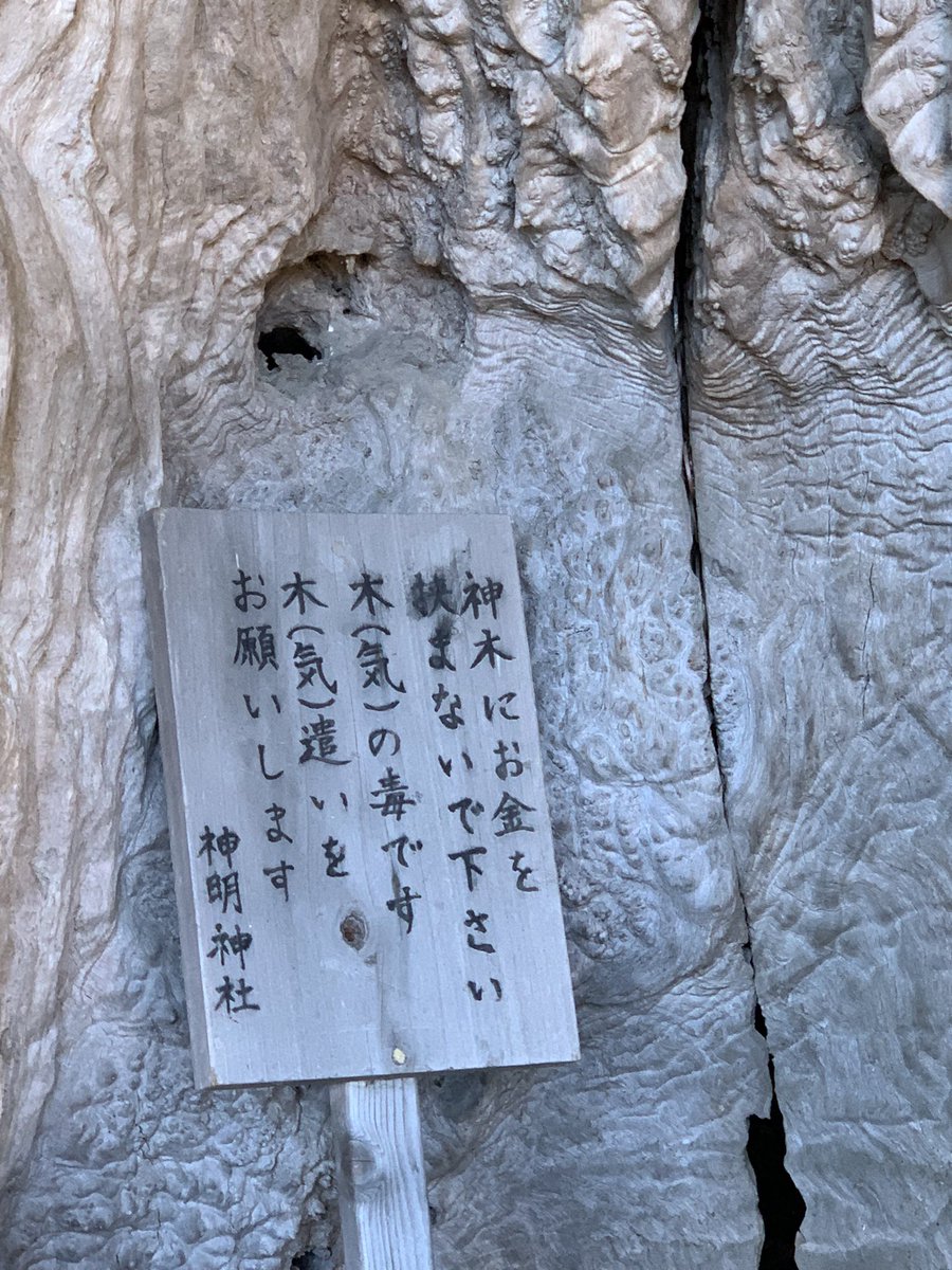 石神さんで有名な神明神社にお参りしてきた😊🙏「木の毒です」が面白かったしドーマンセーマングッズが充実していた…🙏 