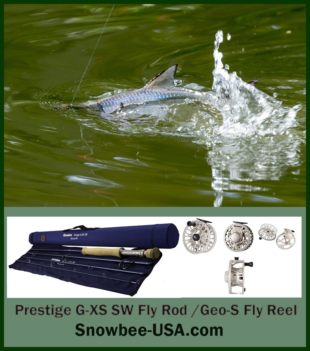 Pedal2Metal66's tweet photo. Live the Life of Adventure
Saltwater Fly Fishing
https://t.co/3jZrpsWT1Q
via @SnowbeeUSA
:
#saltwaterflyfishing #flyfishing #flyrods #flyreels #inshorefishing #flytying #onthefly #bonefish #snook #seatrout #permitfishing #tarponfishing #flatsfishing #corbina #striper https://t.co/sxFSMxKQGb