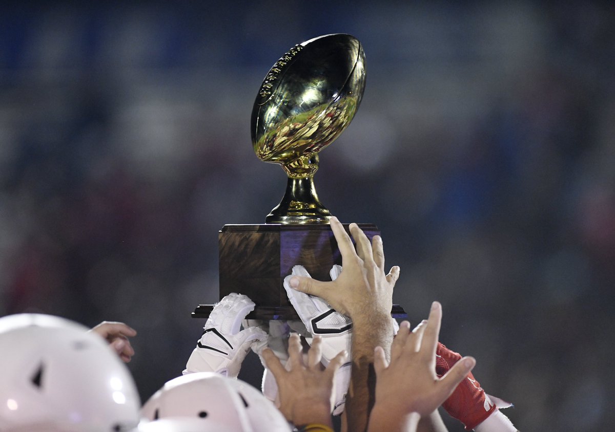 Annie Rice tweet media