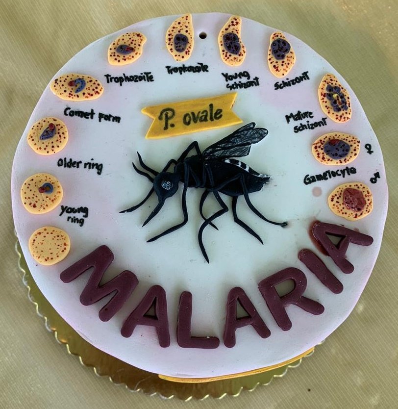 CJSalasDr1's tweet photo. The nerdy malaria cake strikes back to invite you to look for my @ASTMH LB-5046 - Why sulfadoxine-pyrimethamine (SP) sensitive malaria parasites have not returned in Peru two decades after SP withdrawal? The role of Pfdhdr 50R mutation🇵🇪 @hsmw @MalariaMath https://t.co/oCJRC8uYJ7