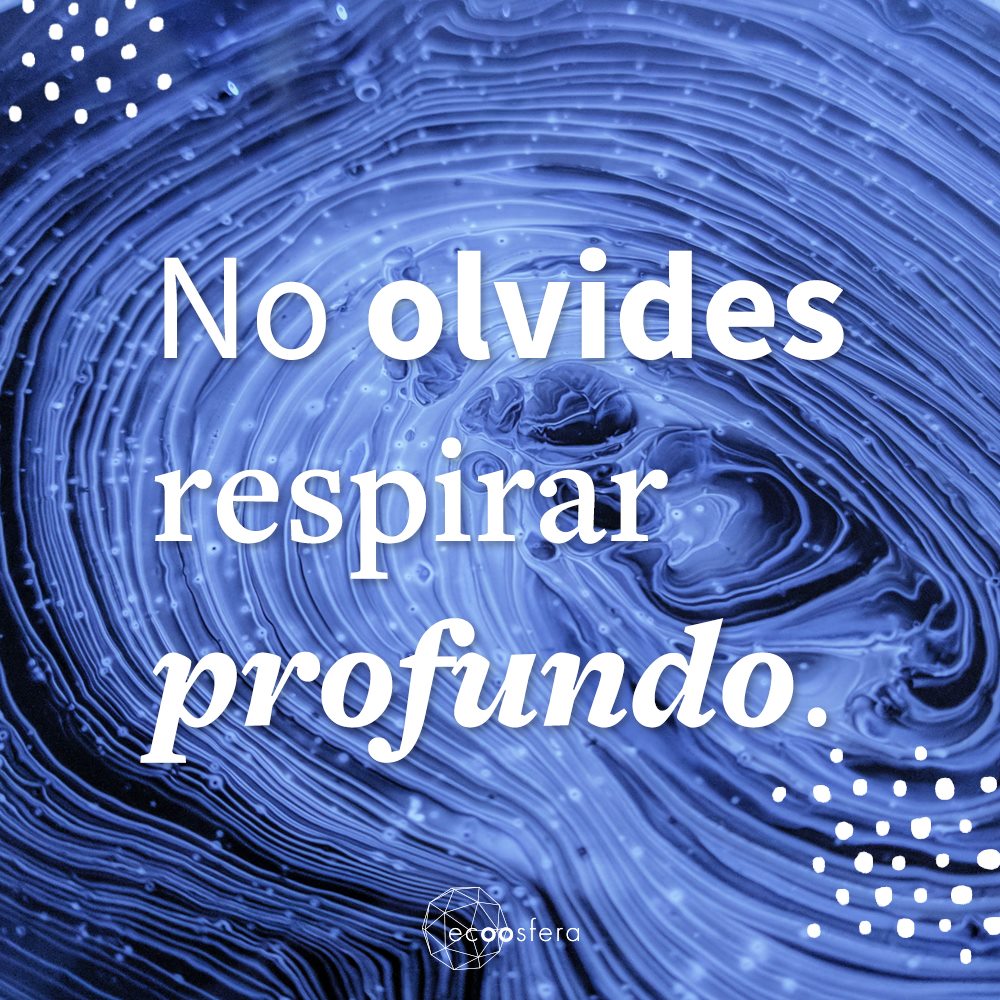 ecoosfera's tweet photo. Respira... 😤
Exhala... 😮💨
#Ecoosfera https://t.co/TnHb4MMYaY