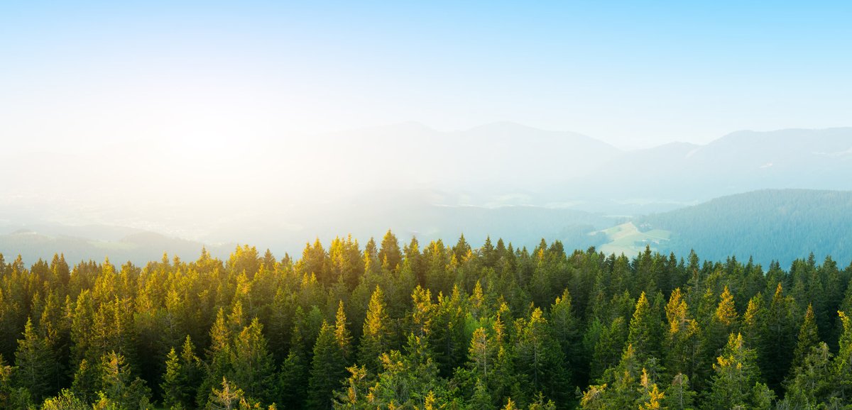Caring for the environment, caring for the earth
Use green energy to reduce carbon emissions, start with us！
Please contact us to customize your own green energy plan
Official website：meritsunpower.com
Facebook：lnkd.in/gbBFWWJ
#meritsun #powerwall #solarbattery