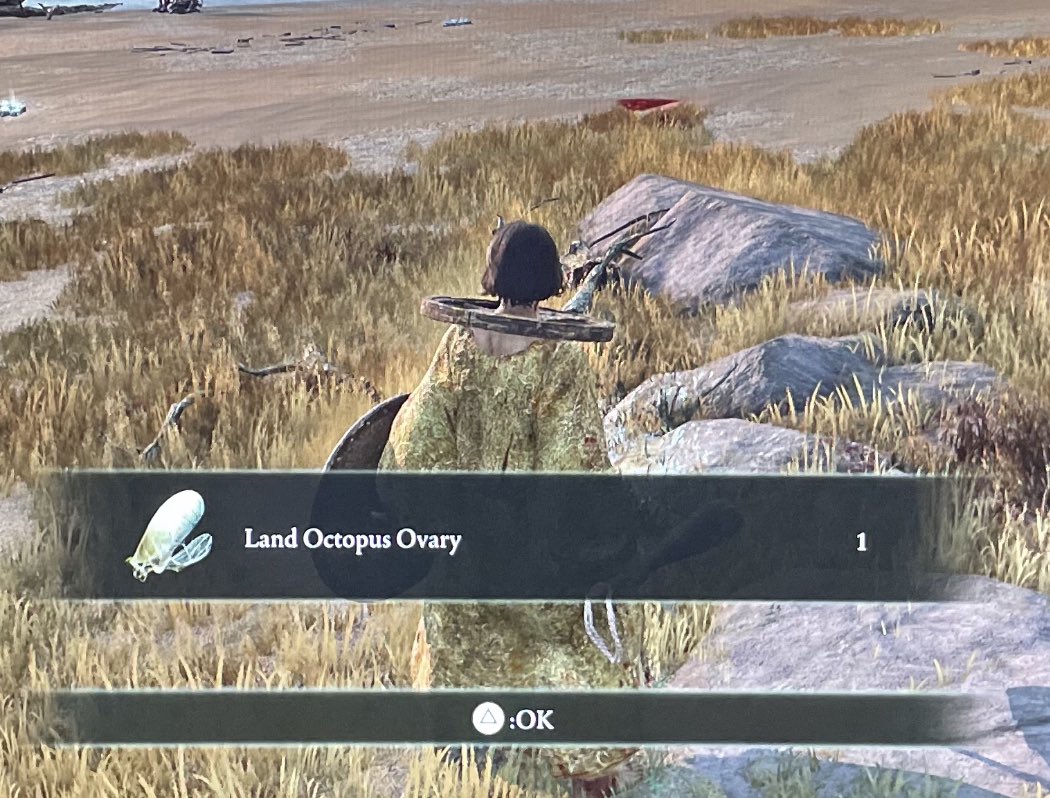 Aaaay! Welcome to Elden Ring 😂

 #ELDENRING