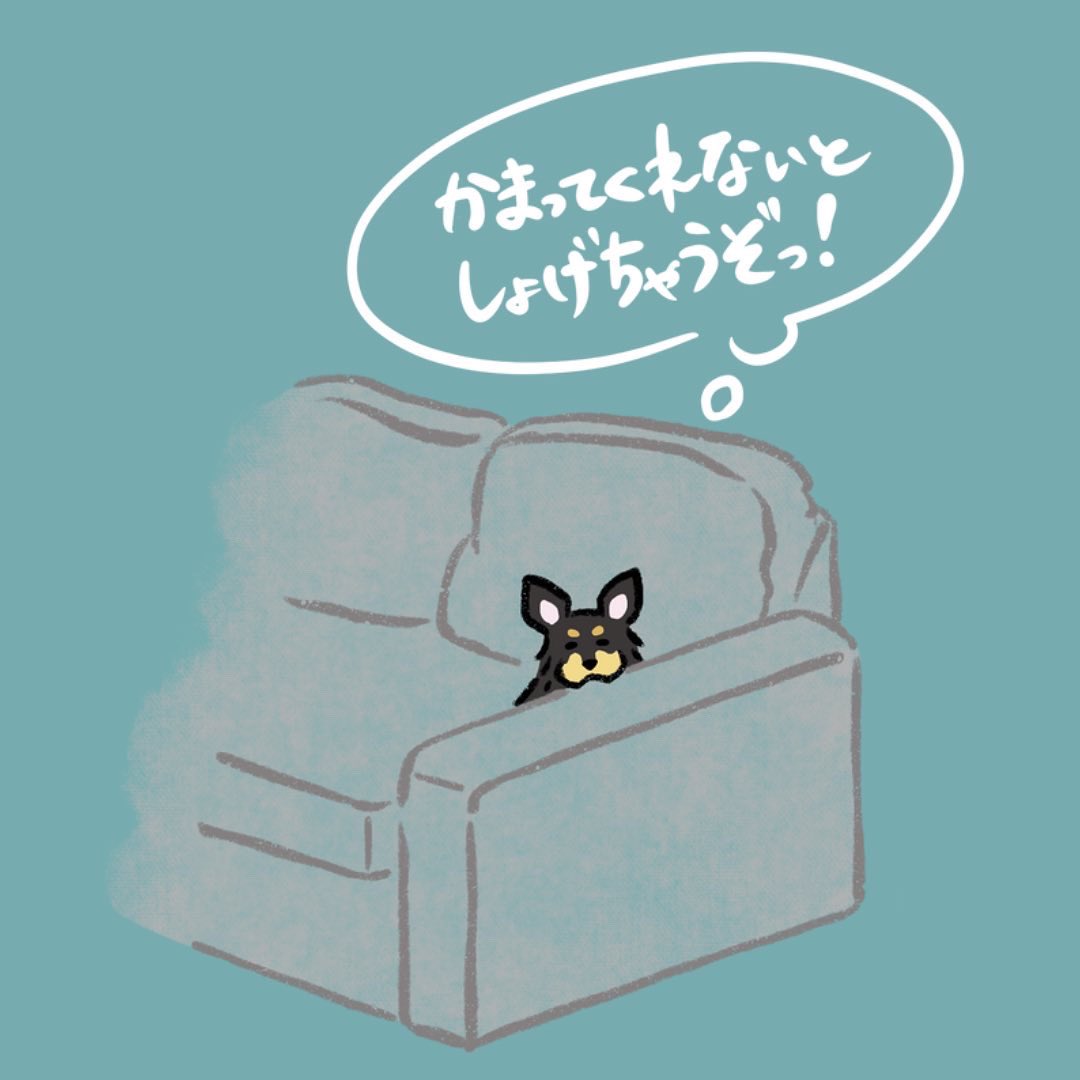 lgbt_compass's tweet photo. イラスト作成に熱中してたら
ふてくされた愛犬が遠くから
見つめていました。🐶
.
#犬の絵 #犬の気持ち #犬のいる生活 #犬好きさんと繋がりたい #イラスト #イラスト好きな人と繋がりたい https://t.co/QftJfwhQGI