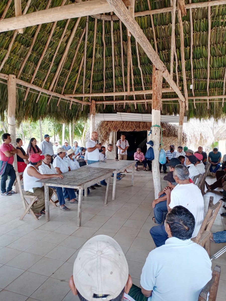 josedelapena12's tweet photo. Con respeto y agradecimiento recibí en Tixcacal Guardia, reconocimiento por parte de los Dignatarios Mayas de Quintana Roo.
Agradezco a los Generales, Comandantes, Capitanes, Tenientes, Sacerdotes y Rezadores por tal distinción.

Vamos a seguir apoyándolos.

#HistoriaViva #QRoo https://t.co/fmdtLKCeZ6