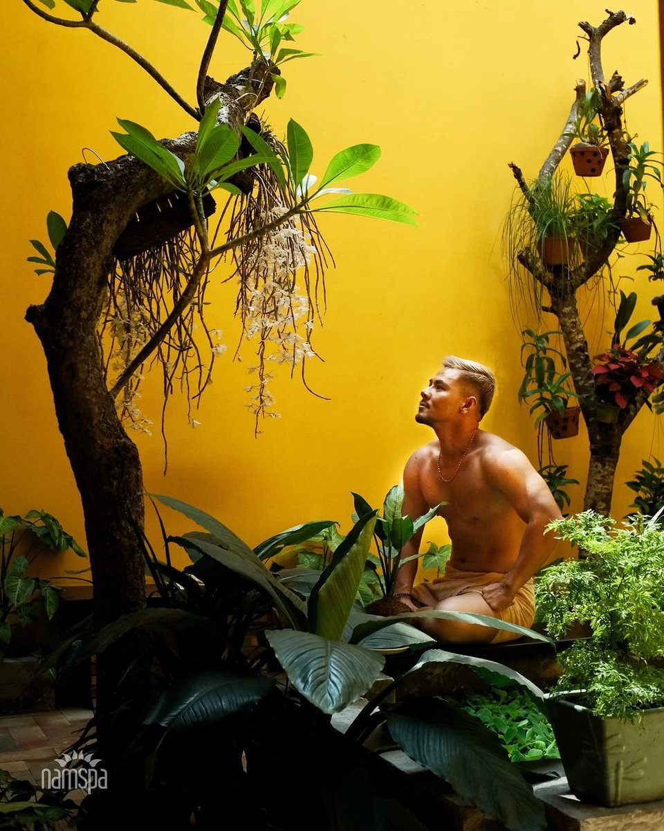 Nấm Spa tweet media