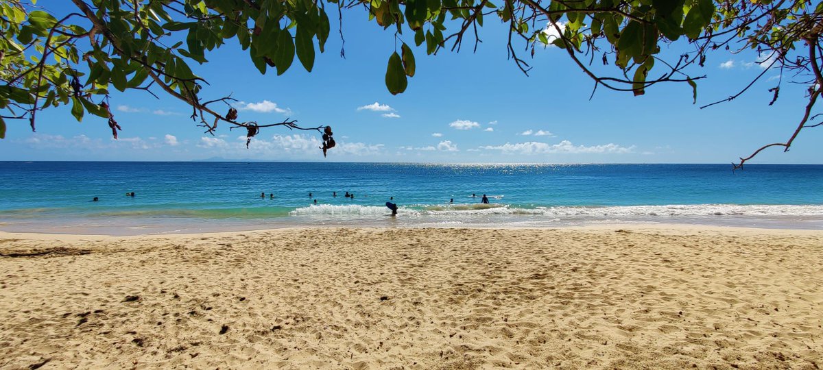 MadaWarrior's tweet photo. Je vous présente la #Martinique #TransatJacquesVabre #objectiftjv2023 #HomeSweetHome #virtualregatta https://t.co/Pei7IEZ3sb