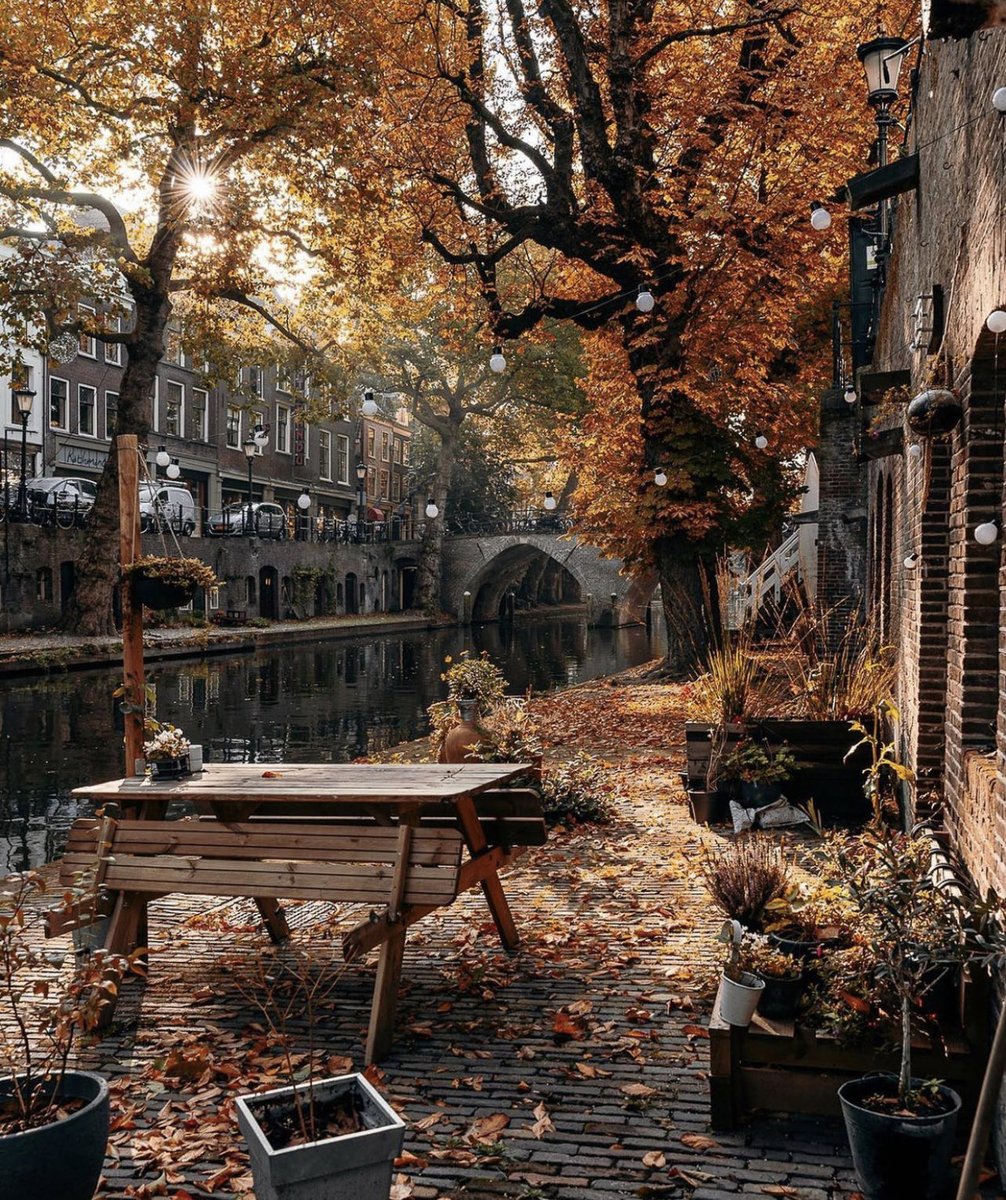SharonEChen's tweet photo. Ultrecht, Netherlands 🇳🇱 https://t.co/IsBo1zXJaC