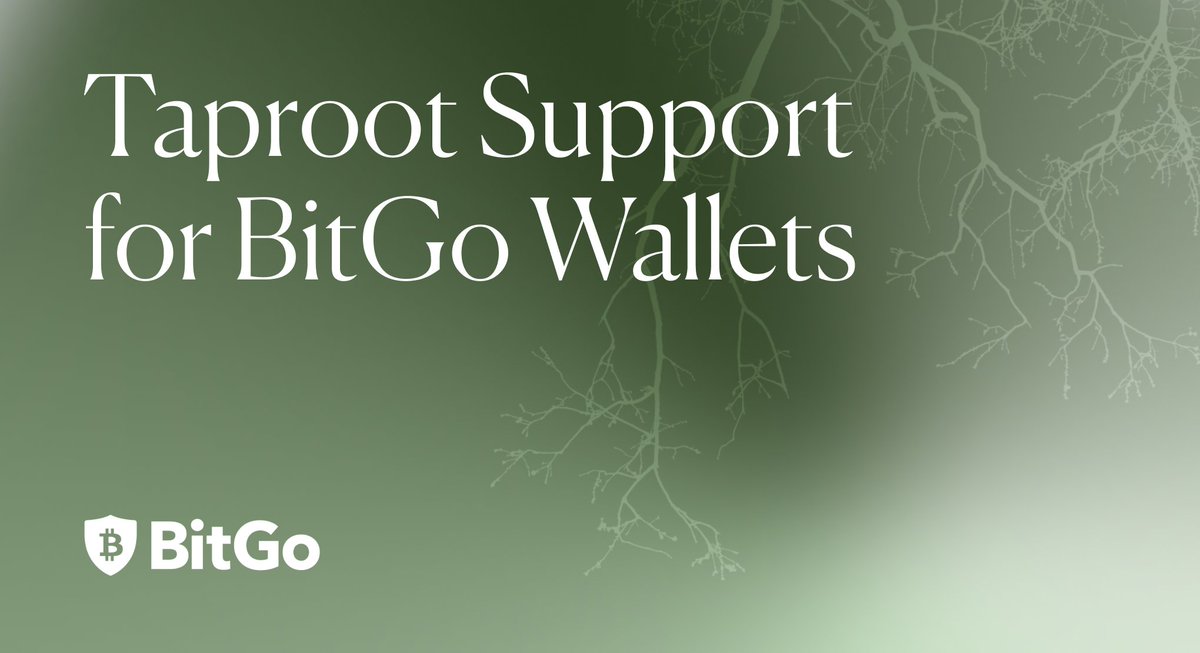 BitGo tweet picture