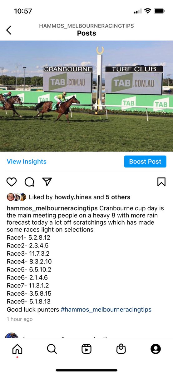 Melbourne Racing Tips tweet media