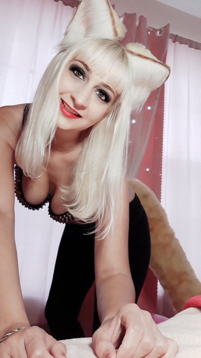 KittyValentineMeow tweet media